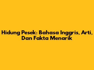 Hidung Pesek: Bahasa Inggris, Arti, Dan Fakta Menarik