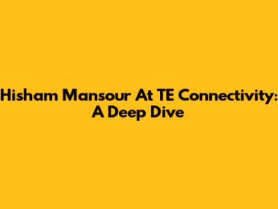 Hisham Mansour At TE Connectivity: A Deep Dive