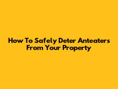 How To Safely Deter Anteaters From Your Property