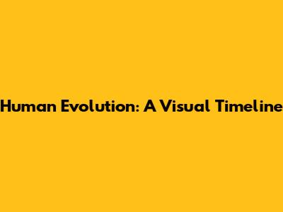 Human Evolution: A Visual Timeline