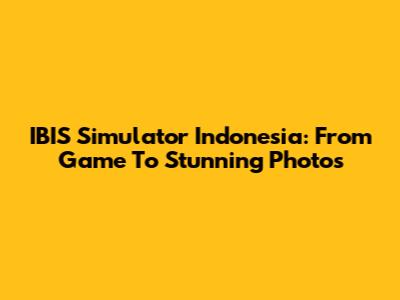 IBIS Simulator Indonesia: From Game To Stunning Photos