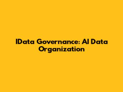 IData Governance: AI Data Organization