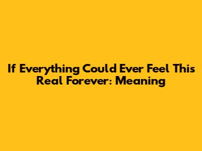 If Everything Could Ever Feel This Real Forever: Meaning