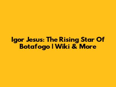 Igor Jesus: The Rising Star Of Botafogo | Wiki & More