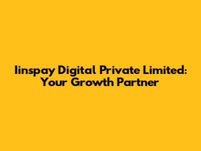 Iinspay Digital Private Limited: Your Growth Partner