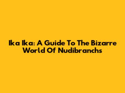 Ika Ika: A Guide To The Bizarre World Of Nudibranchs