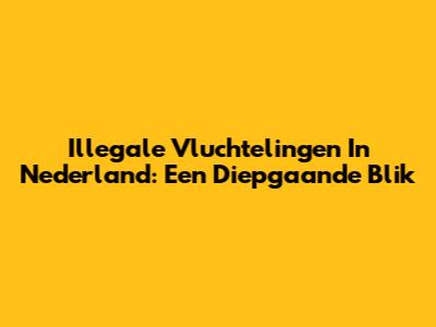 Illegale Vluchtelingen In Nederland: Een Diepgaande Blik