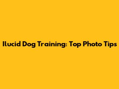 Ilucid Dog Training: Top Photo Tips