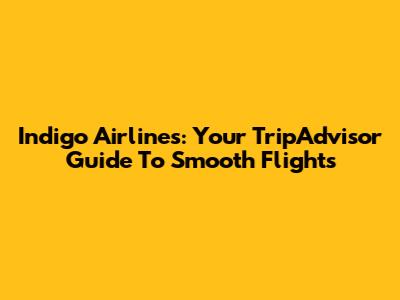 Indigo Airlines: Your TripAdvisor Guide To Smooth Flights
