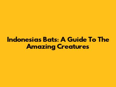 Indonesia's Bats: A Guide To The Amazing Creatures