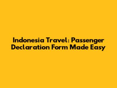Indonesia Travel: Passenger Declaration Form Made Easy