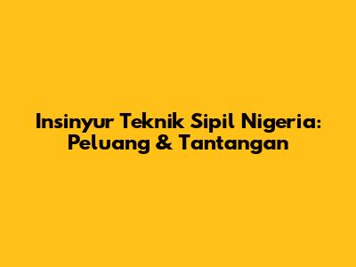 Insinyur Teknik Sipil Nigeria: Peluang & Tantangan