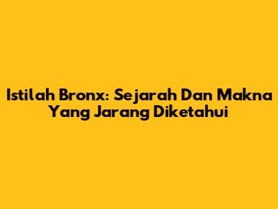 Istilah Bronx: Sejarah Dan Makna Yang Jarang Diketahui