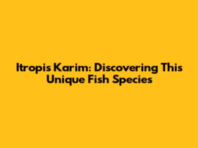Itropis Karim: Discovering This Unique Fish Species