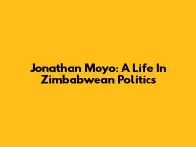 Jonathan Moyo: A Life In Zimbabwean Politics