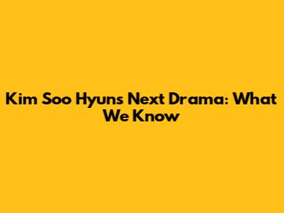 Kim Soo Hyun's Next Drama: What We Know