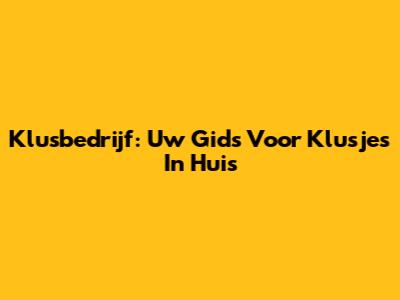 Klusbedrijf: Uw Gids Voor Klusjes In Huis