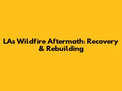 LA's Wildfire Aftermath: Recovery & Rebuilding