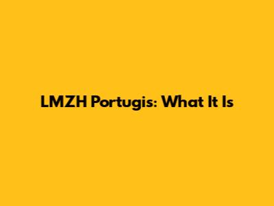 LMZH Portugis: What It Is