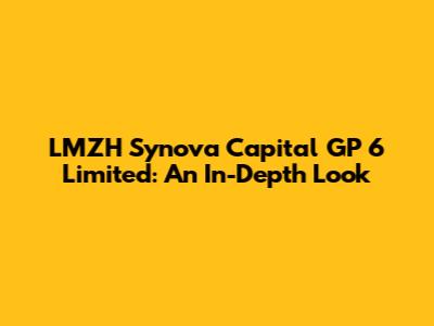 LMZH Synova Capital GP 6 Limited: An In-Depth Look
