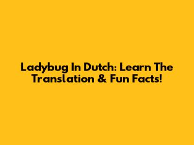 Ladybug In Dutch: Learn The Translation & Fun Facts!