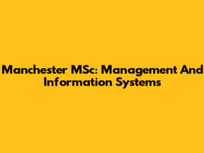 Manchester MSc: Management And Information Systems