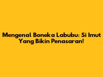 Mengenal Boneka Labubu: Si Imut Yang Bikin Penasaran!