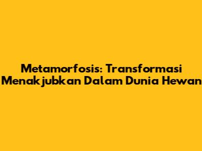 Metamorfosis: Transformasi Menakjubkan Dalam Dunia Hewan