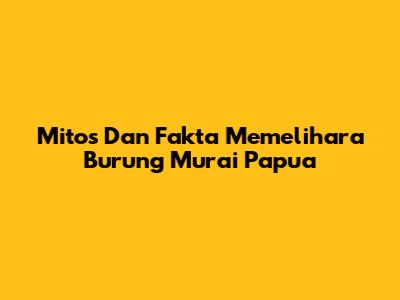 Mitos Dan Fakta Memelihara Burung Murai Papua