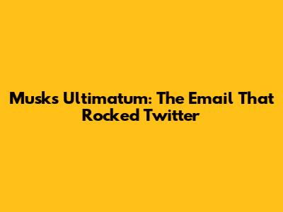 Musk's Ultimatum: The Email That Rocked Twitter