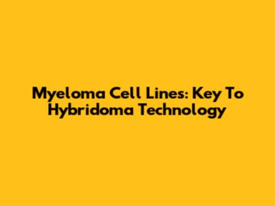 Myeloma Cell Lines: Key To Hybridoma Technology