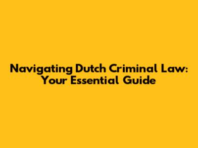 Navigating Dutch Criminal Law: Your Essential Guide