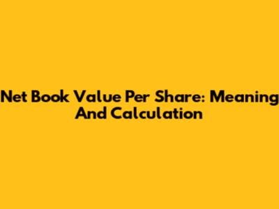 Net Book Value Per Share: Meaning And Calculation
