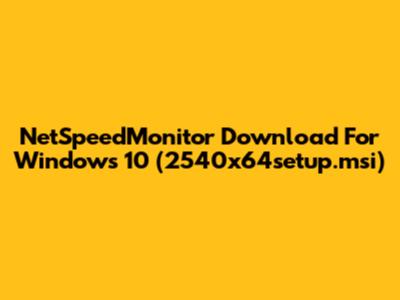 NetSpeedMonitor Download For Windows 10 (2540x64setup.msi)