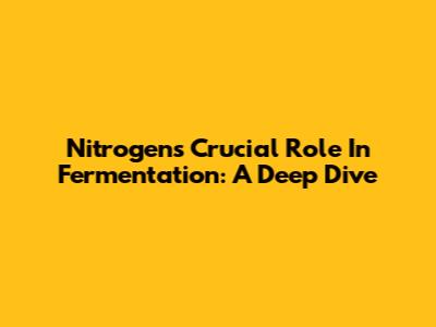 Nitrogen's Crucial Role In Fermentation: A Deep Dive