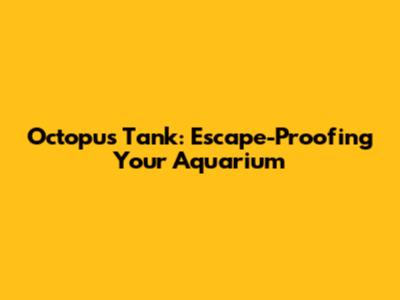 Octopus Tank: Escape-Proofing Your Aquarium