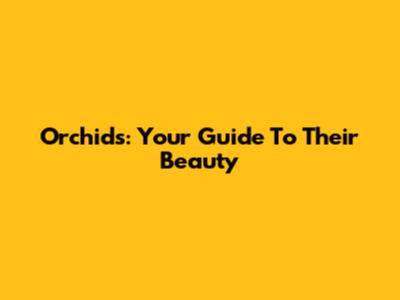 Orchids: Your Guide To Their Beauty