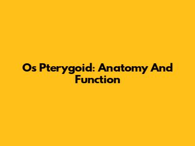 Os Pterygoid: Anatomy And Function