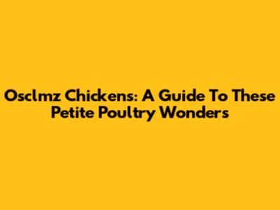 Osclmz Chickens: A Guide To These Petite Poultry Wonders
