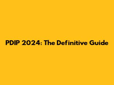 PDIP 2024: The Definitive Guide