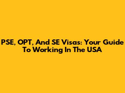 PSE, OPT, And SE Visas: Your Guide To Working In The USA