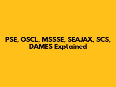 PSE, OSCL, MSSSE, SEAJAX, SCS, DAMES Explained