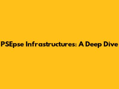 PSEpse Infrastructures: A Deep Dive