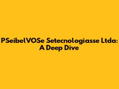 PSeibelVOSe Setecnologiasse Ltda: A Deep Dive