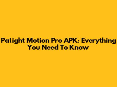 Palight Motion Pro APK: Everything You Need To Know