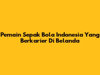 Pemain Sepak Bola Indonesia Yang Berkarier Di Belanda