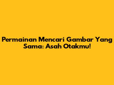Permainan Mencari Gambar Yang Sama: Asah Otakmu!