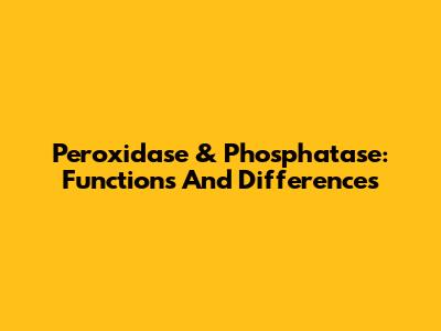 Peroxidase & Phosphatase: Functions And Differences