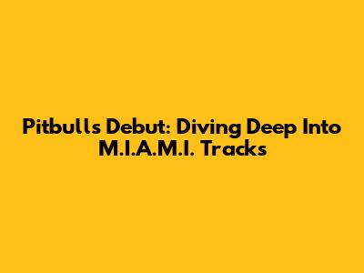 Pitbull's Debut: Diving Deep Into M.I.A.M.I. Tracks