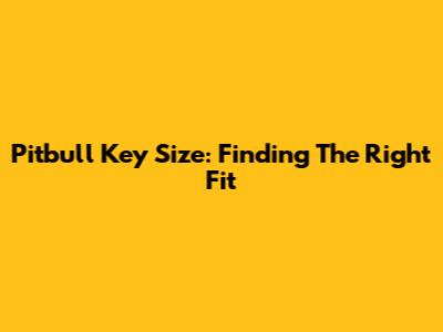 Pitbull Key Size: Finding The Right Fit